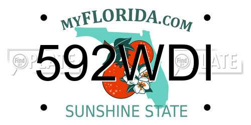 592WDI Florida License Plate
