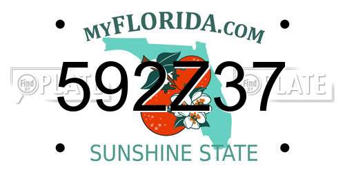 592Z37 Florida License Plate