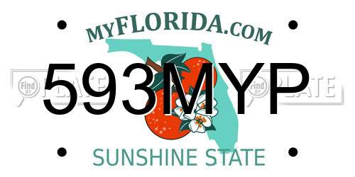 593MYP Florida License Plate