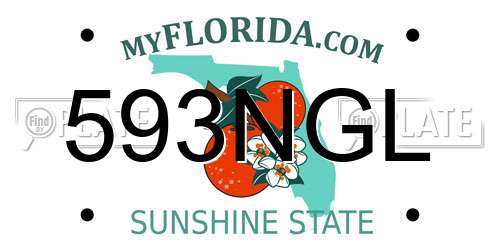 593NGL Florida License Plate