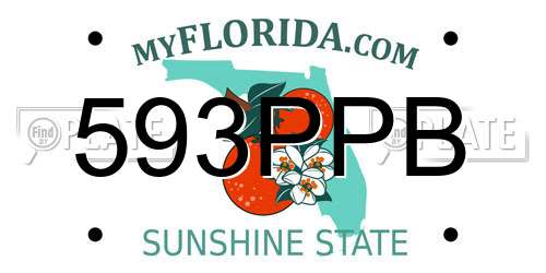 593PPB Florida License Plate