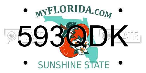 593QDK Florida License Plate