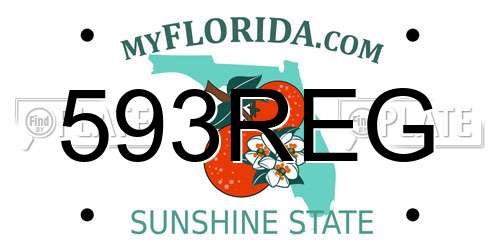 593REG Florida License Plate