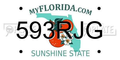 593RJG Florida License Plate