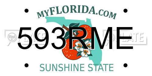 593RME Florida License Plate