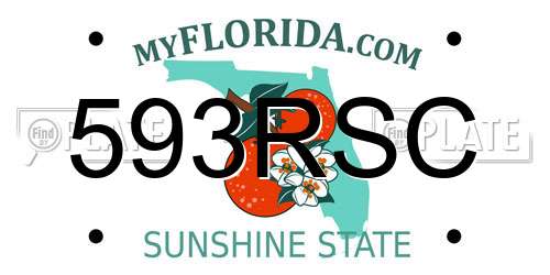593RSC Florida License Plate