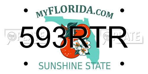 593RTR Florida License Plate