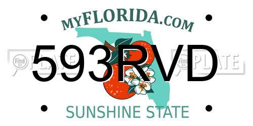 593RVD Florida License Plate