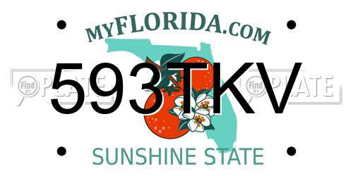 593TKV Florida License Plate