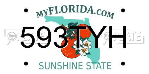 593TYH Florida License Plate