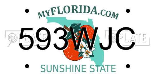 593WJC Florida License Plate