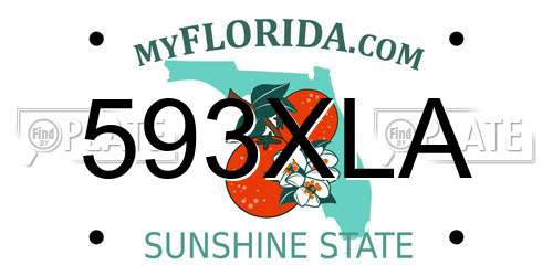593XLA Florida License Plate