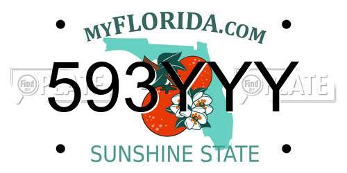 593YYY Florida License Plate