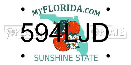 594LJD Florida License Plate