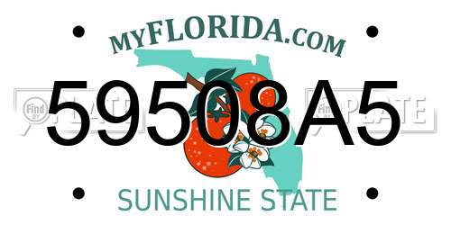59508A5 Florida License Plate