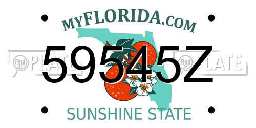 59545Z Florida License Plate