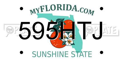 595HTJ Florida License Plate