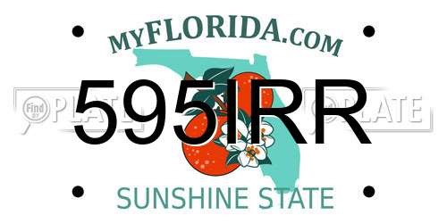 595IRR Florida License Plate
