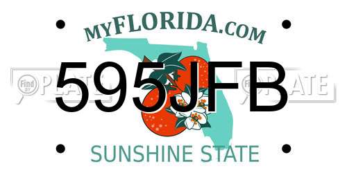 595JFB Florida License Plate