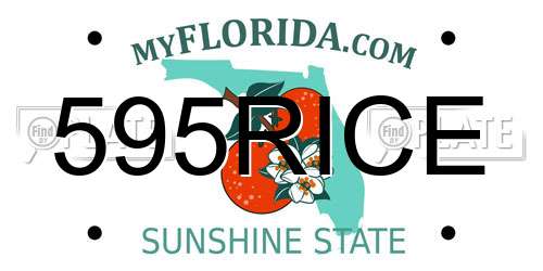 595RICE Florida License Plate