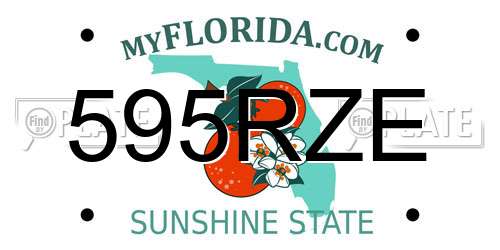595RZE Florida License Plate