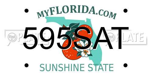595SAT Florida License Plate