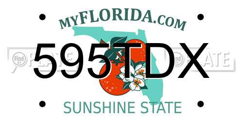 595TDX Florida License Plate