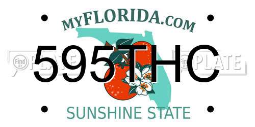 595THC Florida License Plate