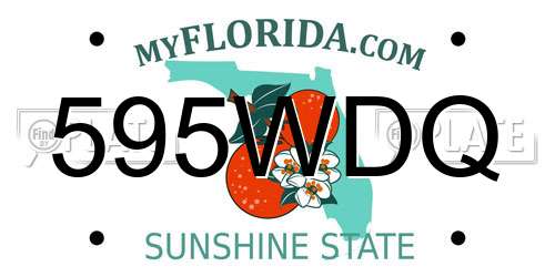 595WDQ Florida License Plate