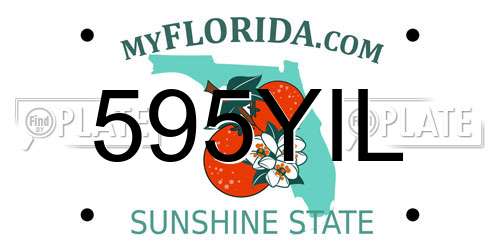 595YIL Florida License Plate