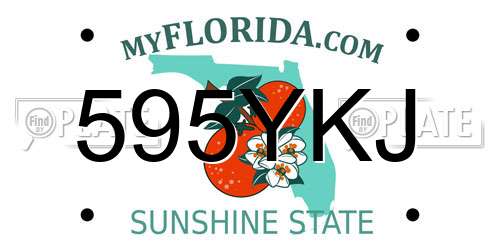 595YKJ Florida License Plate