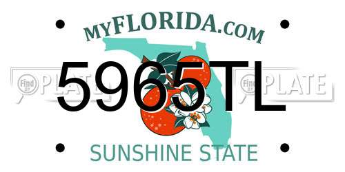 5965TL Florida License Plate
