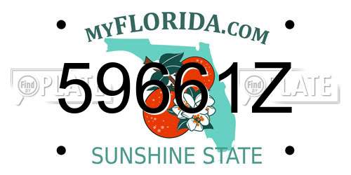 59661Z Florida License Plate