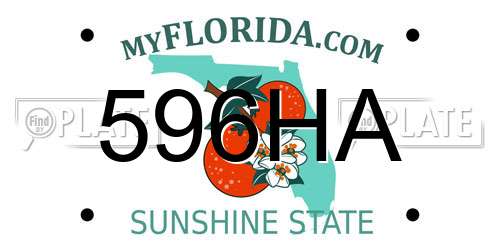 596HA Florida License Plate