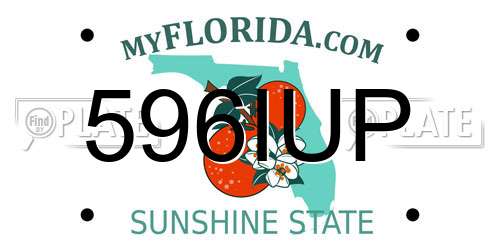 596IUP Florida License Plate