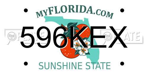 596KEX Florida License Plate