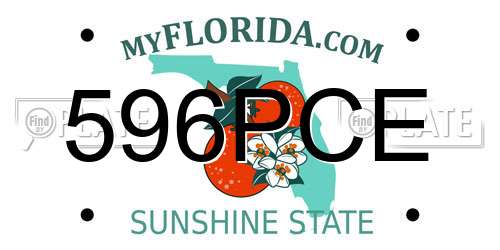 596PCE Florida License Plate
