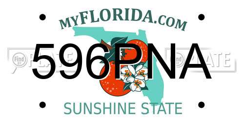 596PNA Florida License Plate
