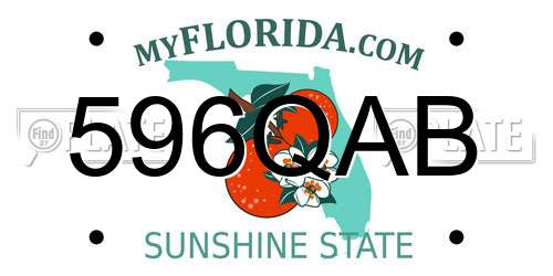 596QAB Florida License Plate