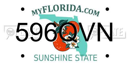 596QVN Florida License Plate