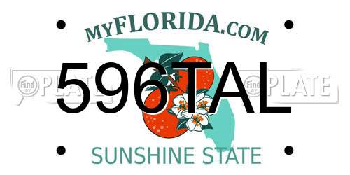 596TAL Florida License Plate