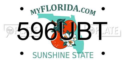 596UBT Florida License Plate