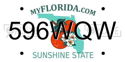 596WQW Florida License Plate