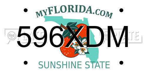 596XDM Florida License Plate