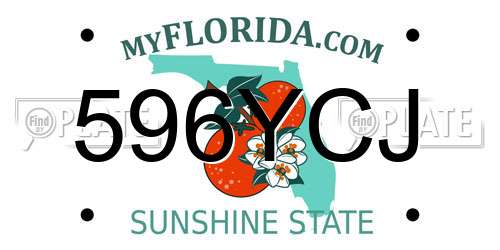 596YCJ Florida License Plate