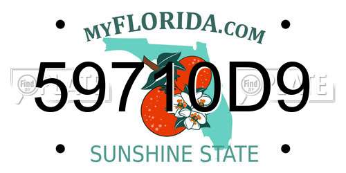 59710D9 Florida License Plate