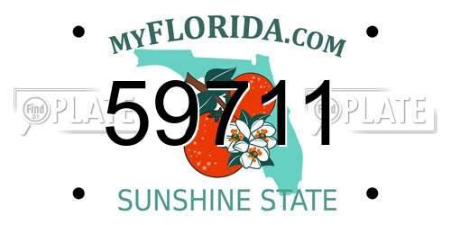 59711 Florida License Plate