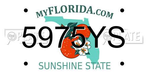 5975YS Florida License Plate