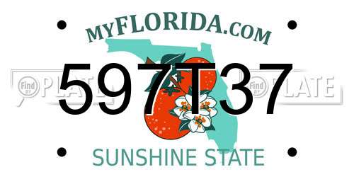 597T37 Florida License Plate