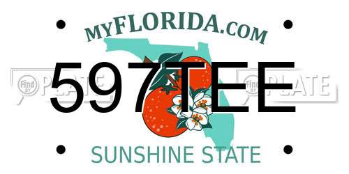 597TEE Florida License Plate